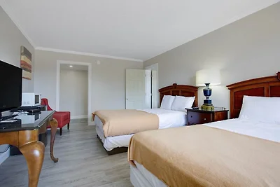 Luxe appartement met 2 tweepersoonsbedden | D...