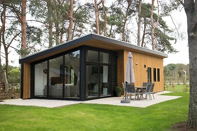 Modern chalet nabij Nationaal Park De Veluwe