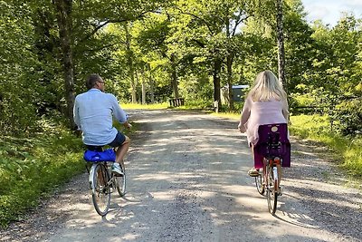 6 Personen Ferienhaus in ODENSBACKEN