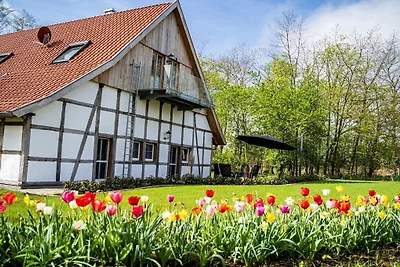 Ferienwohnung mit 2 Schlafzimmer