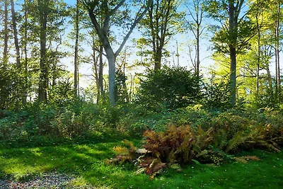 4 persoons vakantie huis in BRAÅS-By Traum