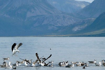 6 persone case ad ALSVÅG-By Traum