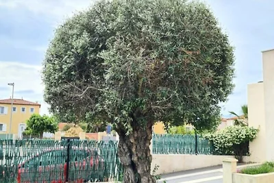 Villa am Strand mit Pool und Jacuzzi