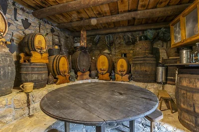Rustical Resort Kokorići with Shared Outdoor ...
