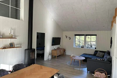 5 Sterne Ferienhaus in Brovst