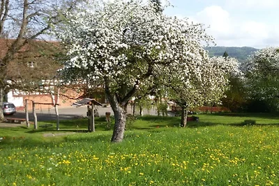 Wohnung in Owingen mit Schwimmbecken
