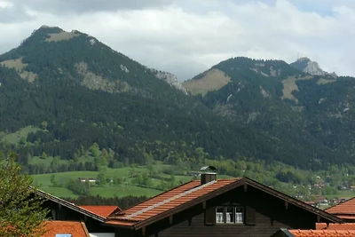 Enzian im Ferienhaus Wendelstein