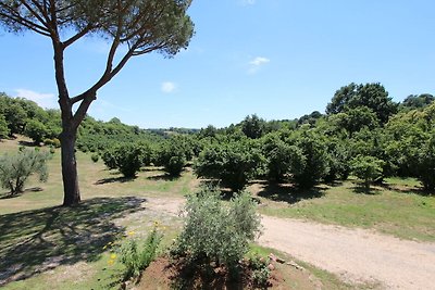 Moderne Villa in Manziana mit Schwimmbad