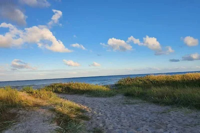 4 Sterne Ferienhaus in Hals-By Traum