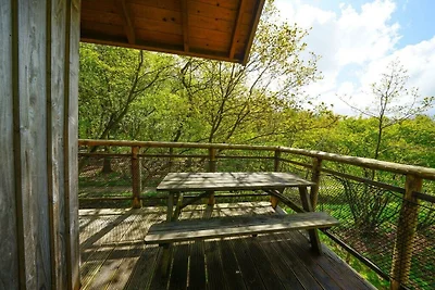 Ferienhaus Erholungsurlaub De Wolden