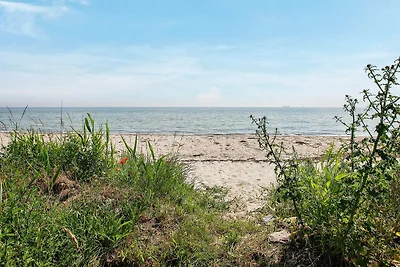 Soggiorno al mare a Tranekaer