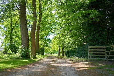 Ferienhof Syrup-Tahn