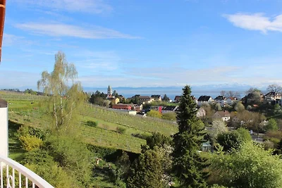 Vue à 180° sur le lac de Constance