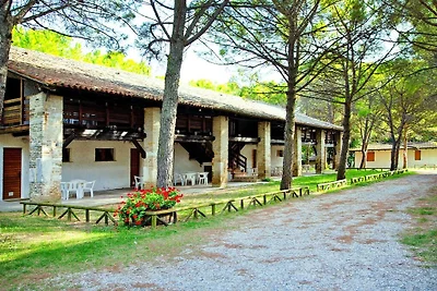 Ferienwohnung in der Ferienanlage Belvedere i...