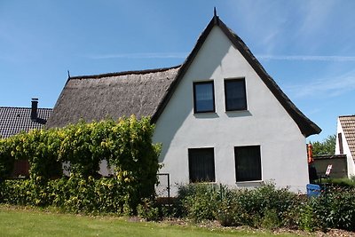 Gemütliche Ferienwohnung in Pepelow an der...