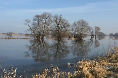Wendland-am-Weinberg