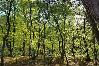 Familienurlaub in Lodskovvad