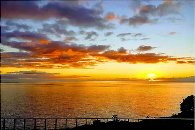 Quinta Golfinho - Villa Palmeira