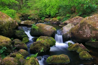 Hütte bei Dartmoor mit Whirlpool