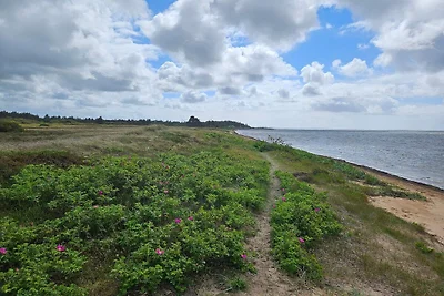 6 Personen Ferienhaus in Hemmet