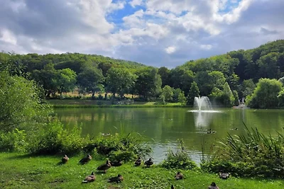 In der Region (Sommer) (>5 km) In der Region (Sommer) (>5 km)