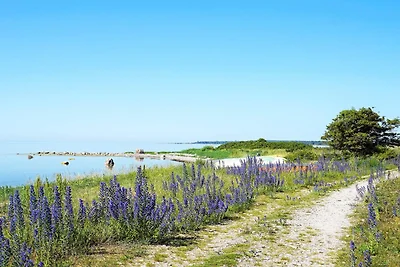 4 Personen Ferienhaus in KLINTEHAMN-By Traum