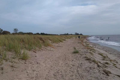 6 Personen Ferienhaus in Dannemare