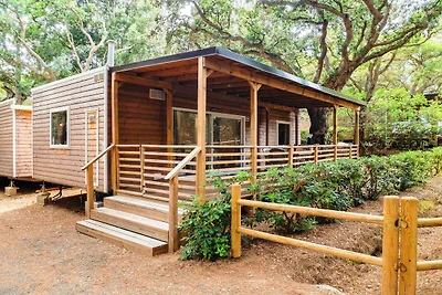 Mobilhome im Ferienpark mit grosser...