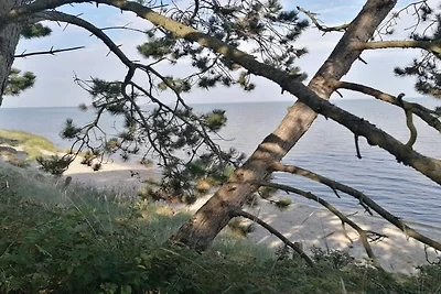 Gemutliches Inselrefugium -- By Traum...