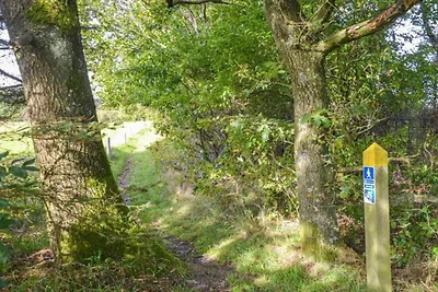 8 persoons vakantie huis in Hovborg-By Traum