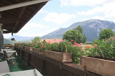 Schneider - Hof || Ruhpolding