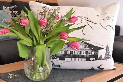 Alpenflair Ferienwohnung 312