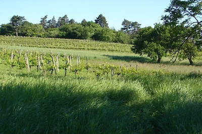 4 Weingut Hauerhof 99