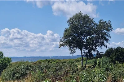 6 Personen Ferienhaus in Sydals-By Traum