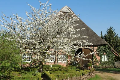 Ute von Lingelsheim
