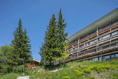 Bergwohnung in Chamrousse