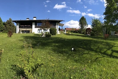 En la casa Auerhahn