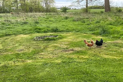 EcoLodge Gruppen