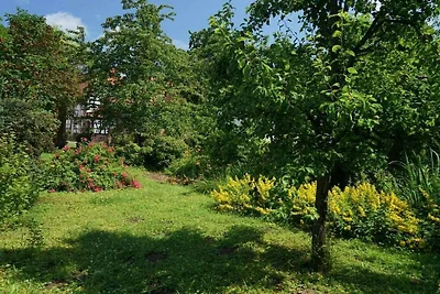 "Owwedriwwer" nella trattoria Martinshof