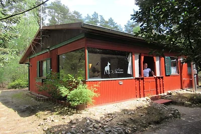 Cabin in Suderburg with swimming pool