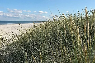 6 Personen Ferienhaus in Ålbæk