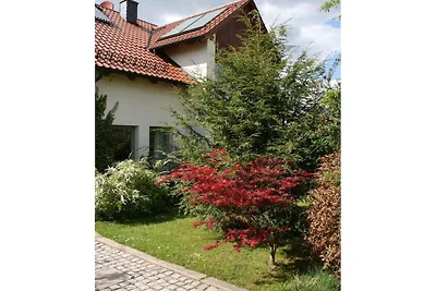 Liliensteinblick