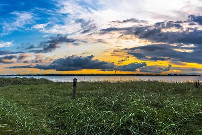 6 Personen Ferienhaus in Farsø-By Traum