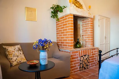 Charmante villa met privétuin en barbecue