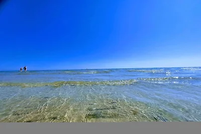 Einzigartiges Kustenrefugium -- By Traum...