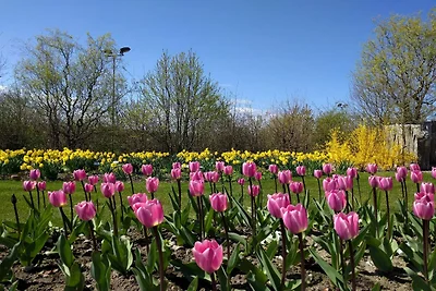 Betoverend huisje in Oksbol Oase-By Traum