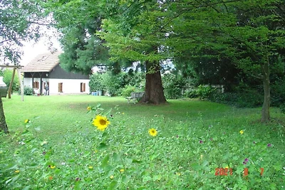 Ferienhaus mit 2 Schlafzimmer