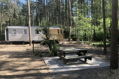 Geräumiges Chalet für 6 Personen in Antwerpen