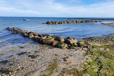 6 Personen Ferienhaus in Brenderup Fyn-By...