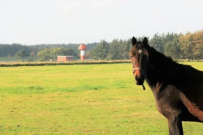 Westerheide Komfortable Ferienresidenz